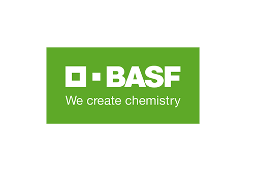 Dex Manager - Success case BASF